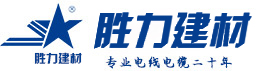 西安泰富西瑪電機(jī)logo